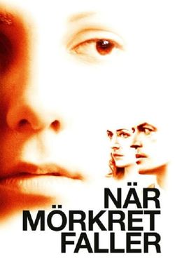 När mörkret faller