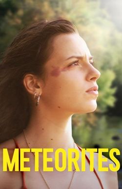Meteorites
