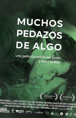 Muchos pedazos de algo
