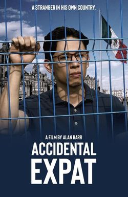 Accidental Expat