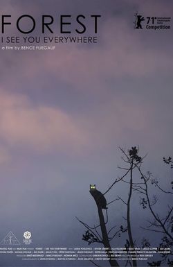 Forest: I See You Everywhere