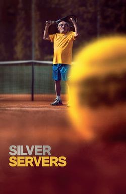 Silver Servers