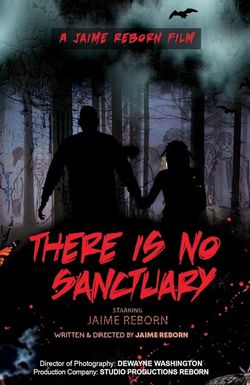 There Is No Sanctuary