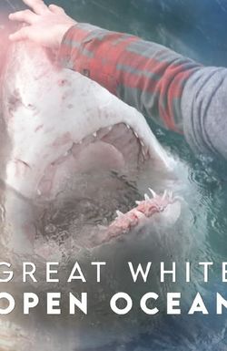 Great White Open Ocean