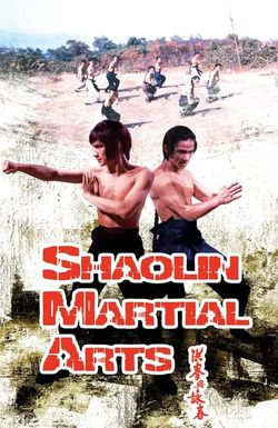 Shaolin Martial Arts