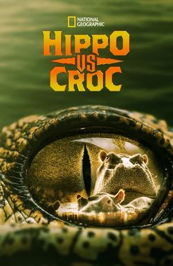 Hippo vs Croc