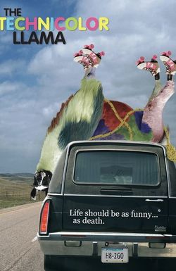 Technicolour Llama