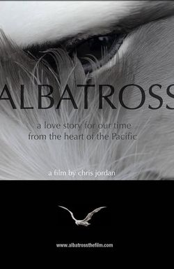 Albatross