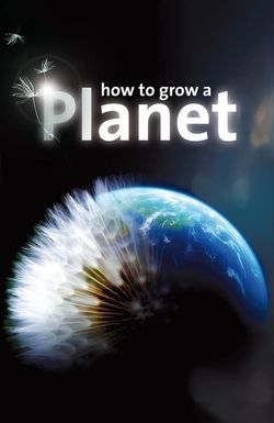 How to Grow a Planet