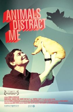 Animals Distract Me