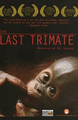 The Last Trimate