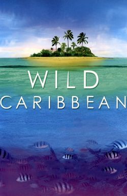 Wild Caribbean