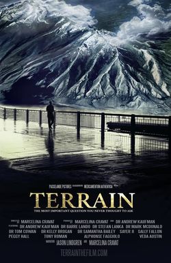 Terrain