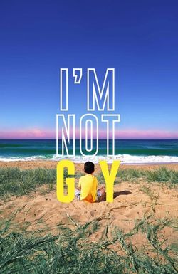 I'm Not Gay