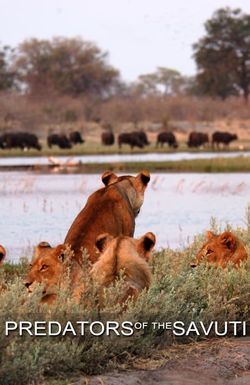 Predators of the Savuti
