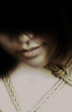 Kinbaku