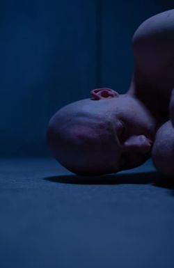 Incarnation