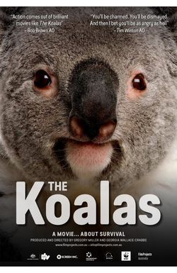 The Koalas