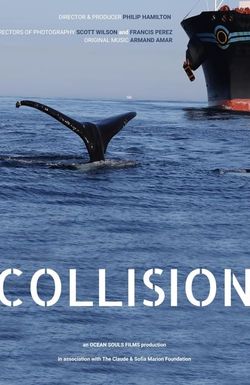 Collision