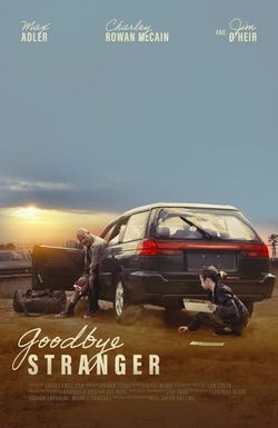 Goodbye Stranger