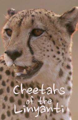 Cheetahs of the Linyanti