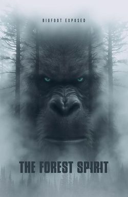 The forest spirit