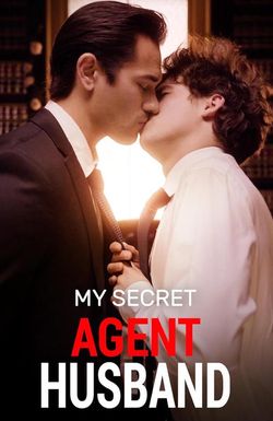 My Secret Agent Husband