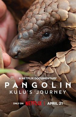 Pangolin: Kulu's Journey