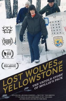 Lost Wolves of Yellowstone