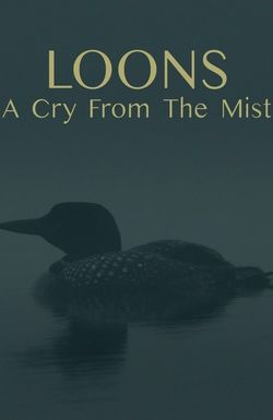 Loons: A Cry from the Mist