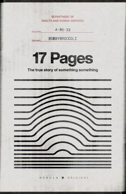 17 Pages