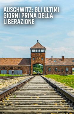 Auschwitz: Countdown to Liberation