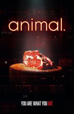 animal.