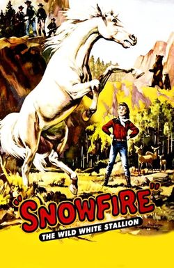 Snowfire