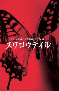 Swallowtail Butterfly