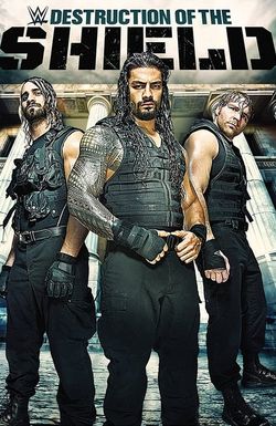 Journey to SummerSlam: The Destruction of the Shield