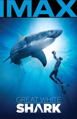 Great White Shark