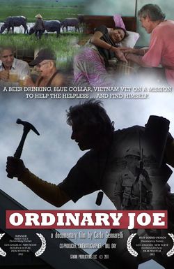 Ordinary Joe