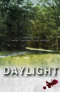 Daylight