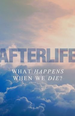 Afterlife
