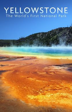 National Parks Exploration Series: Yellowstone