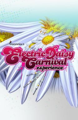 Electric Daisy Carnival Experience