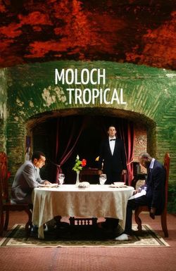 Moloch Tropical