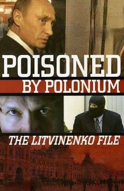 Bunt. Delo Litvinenko