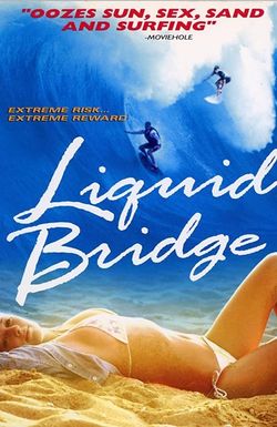 Liquid Bridge
