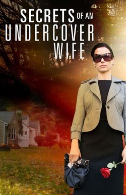 Secrets of an Undercover Wife