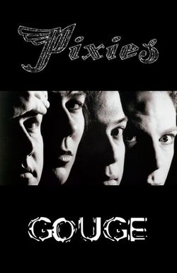 The Pixies