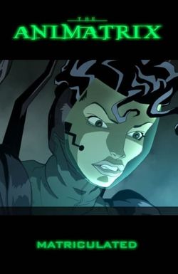 The Animatrix