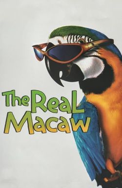 The Real Macaw