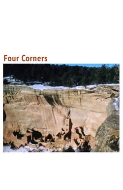 Four Corners